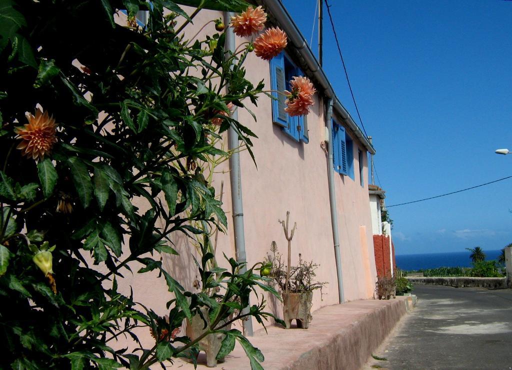 Casa Coronela Villa Garachico  Exterior photo